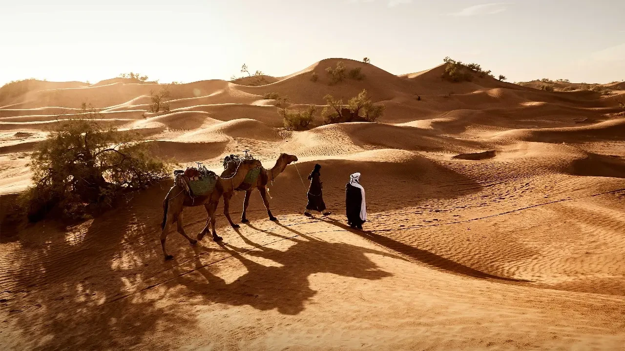 6638ad16cf164-syaban