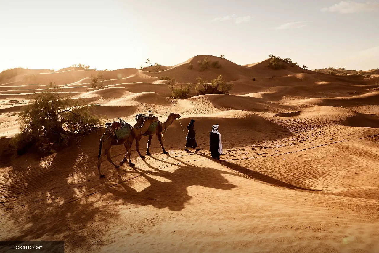 6638ad16cf164-syaban