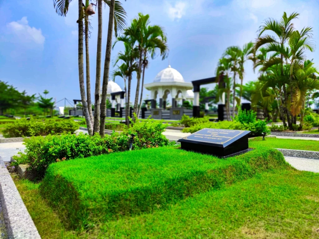 Dari Puncak Kenyamanan