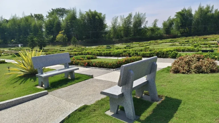 photo_2025-11-04_16-45-14