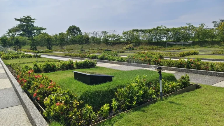 photo_2025-11-06_14-04-13