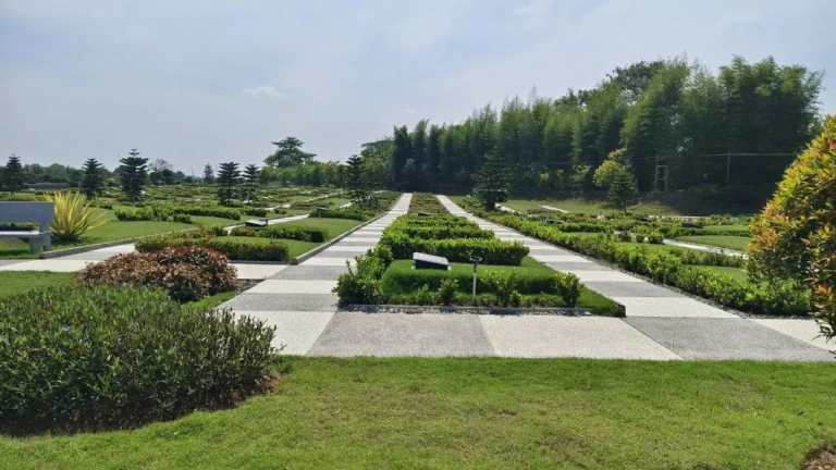 photo_2025-11-06_14-04-16