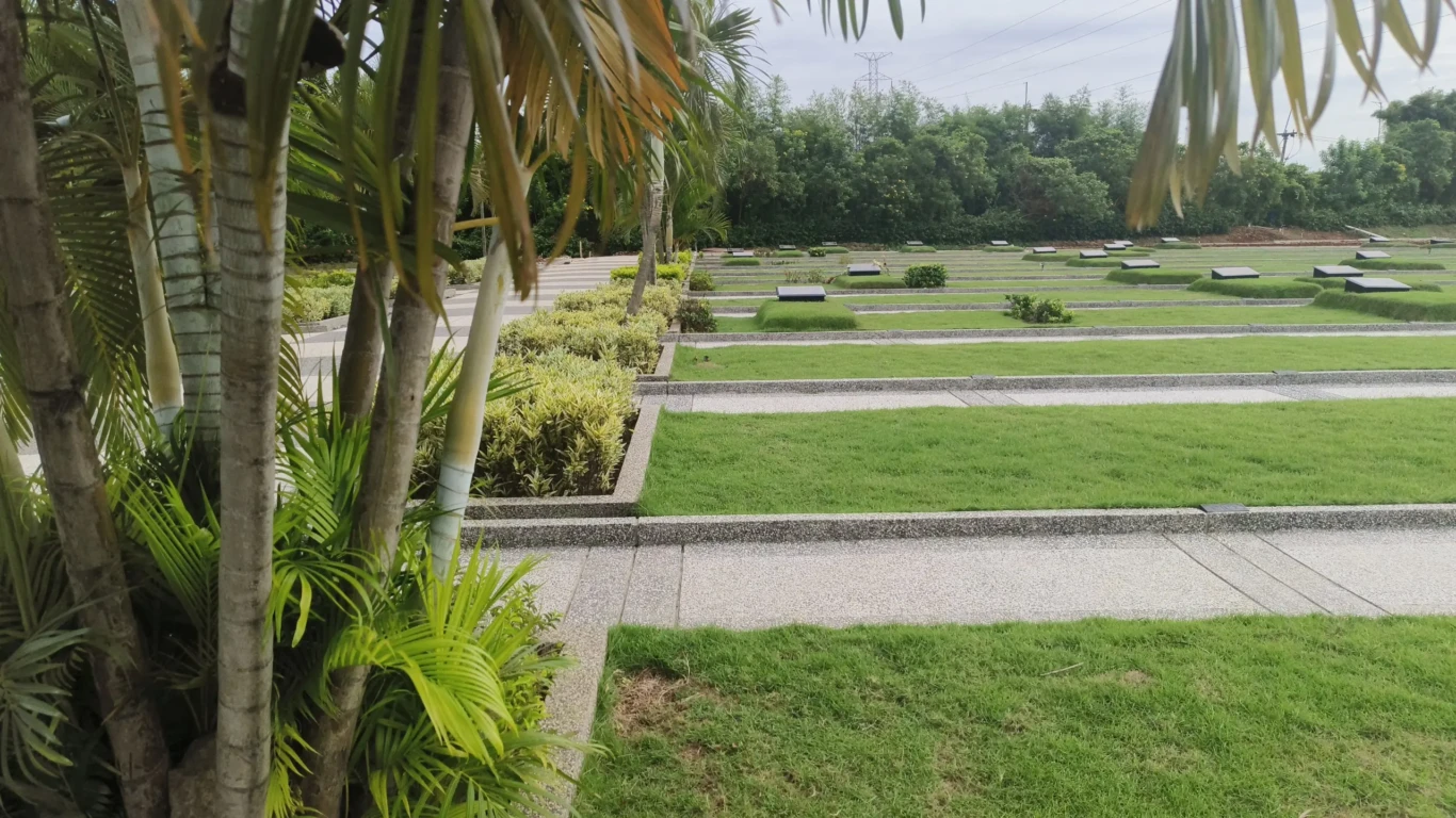 photo_2025-11-11_14-01-37